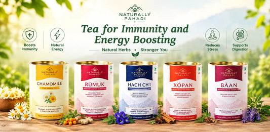 Tea for Immunity and Energy Boosting: A Natural Daily Wellness Ritual