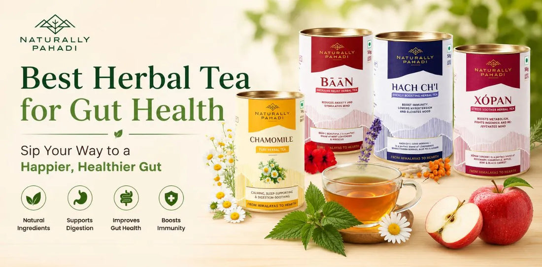 Best Herbal Tea for Gut Health: Natural Teas to Support Better Digestion