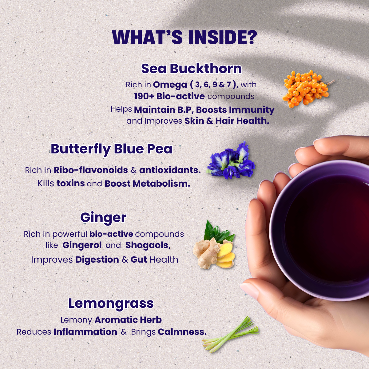 Hach ch'i Sea Buckthorn Tea - Immunity & Energy Boosting (50g)