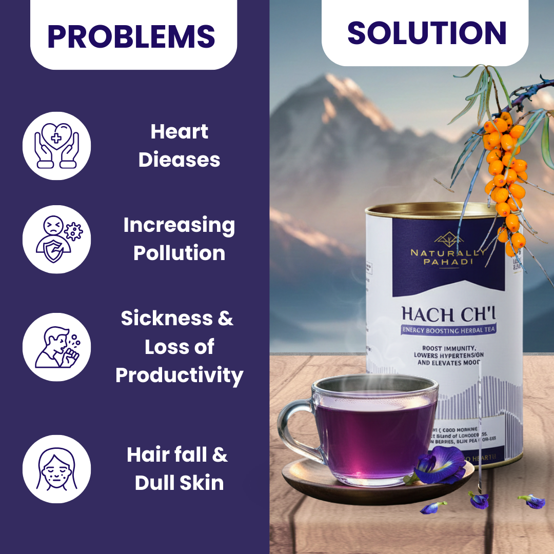 Hach ch'i Herbal Tea - Immunity & Energy Boosting Tea (50g)