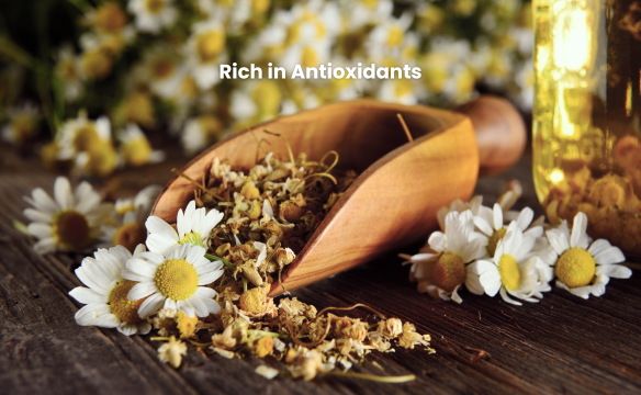 Rich in Antioxidants