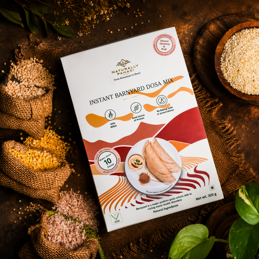Instant Barnyard Millet Dosa with Podi and Peanut Chutney (310g)