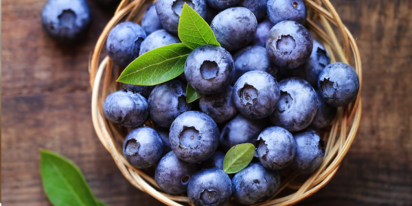 Real Blueberries