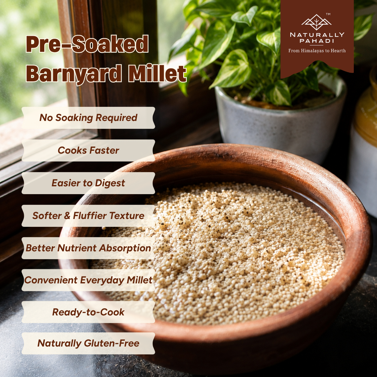 Himalayan Pre Soaked Barnyard Millet (450g)