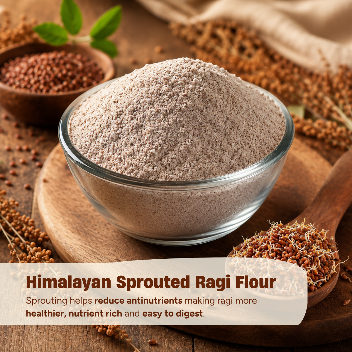 Himalayan Sprouted Ragi Flour (Ragi Atta) 450g