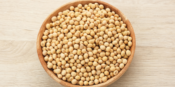 Soybean