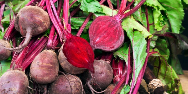 Beetroot