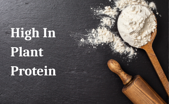 High Plant Protein