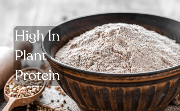High in Protein