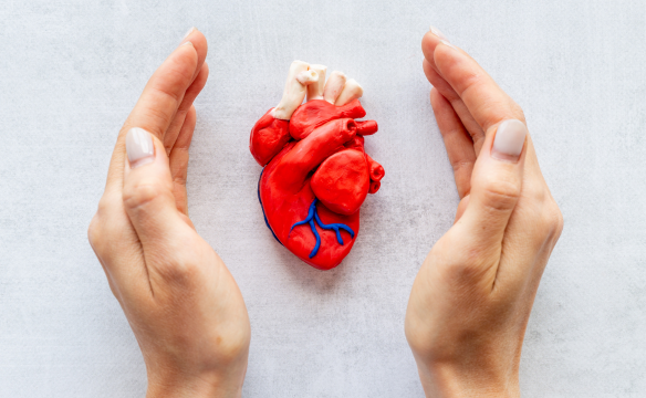 Supports Heart Health