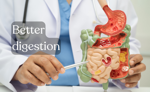 Supports Better Digestion