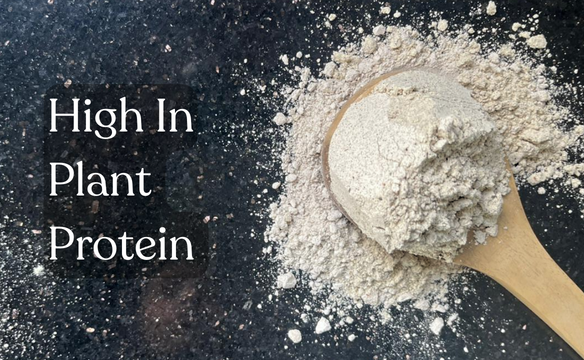 Good Source of Plant Protein