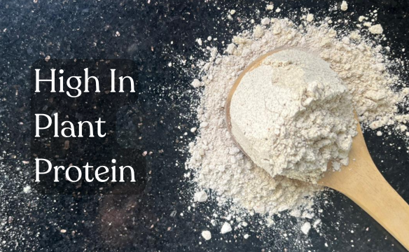 High Plant Protein